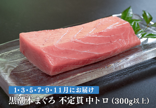 【定期便 6回】高知県産 本マグロ 中トロ 養殖 2柵 300g (不定貫)
