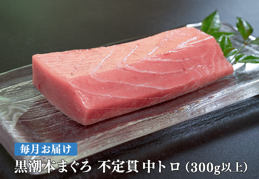 【定期便 12回】高知県産 本マグロ 中トロ 養殖 2柵 300g (不定貫)