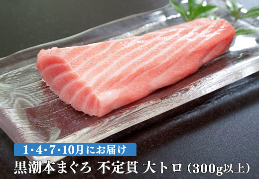 【定期便 4回】高知県産 本マグロ 大トロ 養殖 2柵 300g (不定貫)