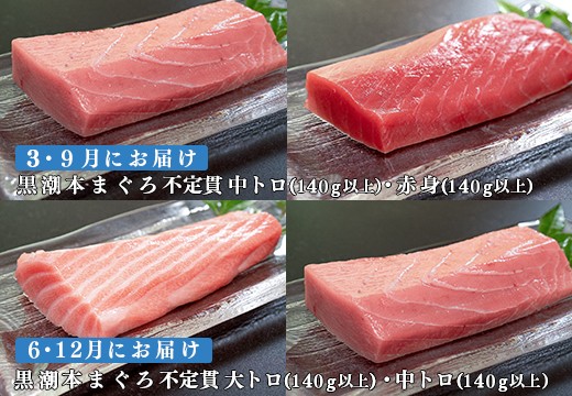 【定期便 4回】高知県産 本マグロ 大トロ・中トロ・赤身 (不定貫) 月替わり