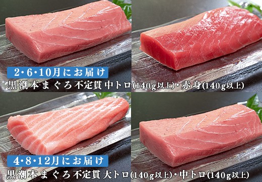 【定期便 6回】高知県産 本マグロ 大トロ・中トロ・赤身 (不定貫) 月替わり