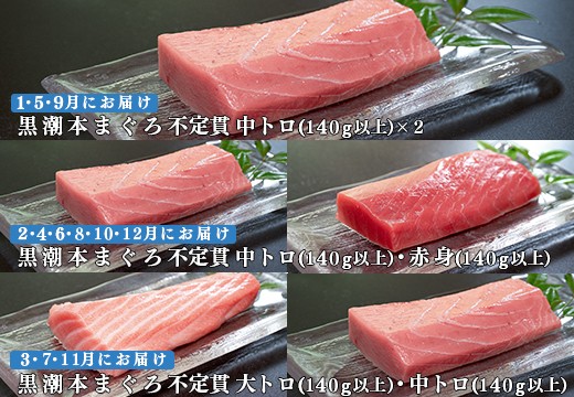 【定期便 12回】高知県産 本マグロ 大トロ・中トロ・赤身 (不定貫) 月替わり
