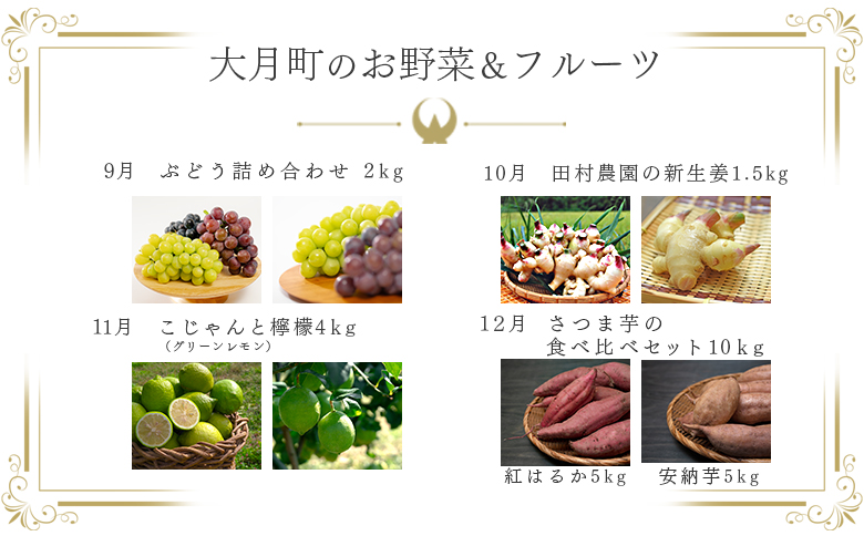 【定期便 10回】旬のお野菜 フルーツ セット｜新鮮 産地直送 果物 健康志向 ギフト 贈り物 人気 おすすめ いちご 紅ほっぺ 土佐文旦 朝どれブロッコリー 柑橘 パプリカ メロン ぶどう 新生姜 レモン 芋 詰め合わせ お取り寄せ 大月町