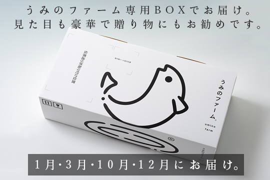 【定期便4回】冷蔵 養殖ぶり 2柵 セット｜鰤 ブリ 刺身 生食用 冷蔵直送 解凍なし 朝〆 海鮮 魚介 鮮度抜群 人気 小分け 個包装 贈答 ギフト おすすめ 高知県 大月町 国産 送料無料 お取り寄せ 産地直送 ぶりしゃぶ カルパッチョ