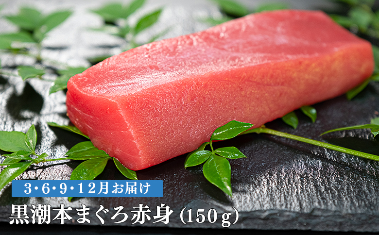 【定期便4回】日本一!黒潮本まぐろ 赤身