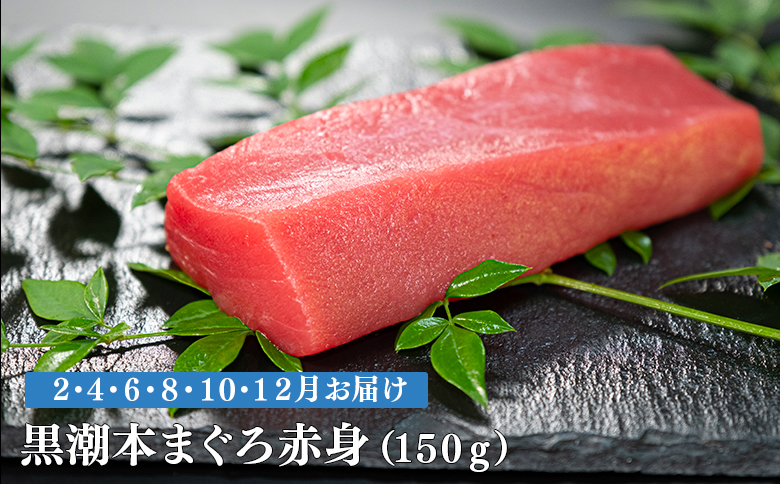【定期便6回】日本一!黒潮本まぐろ 赤身