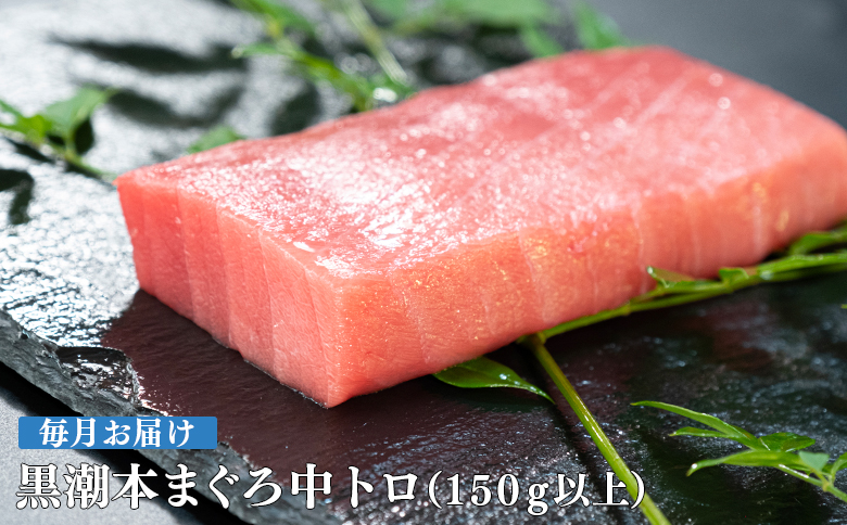 【定期便12回】日本一!黒潮本まぐろ 中トロ
