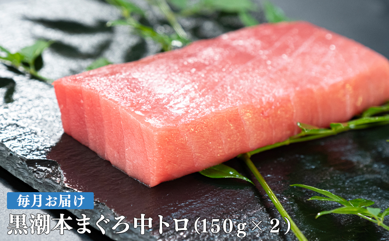 【定期便12回】日本一!黒潮本まぐろ 中トロ2柵
