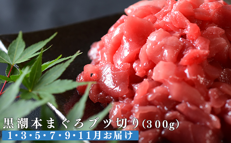 【定期便6回】日本一!黒潮本まぐろ ブツ切り
