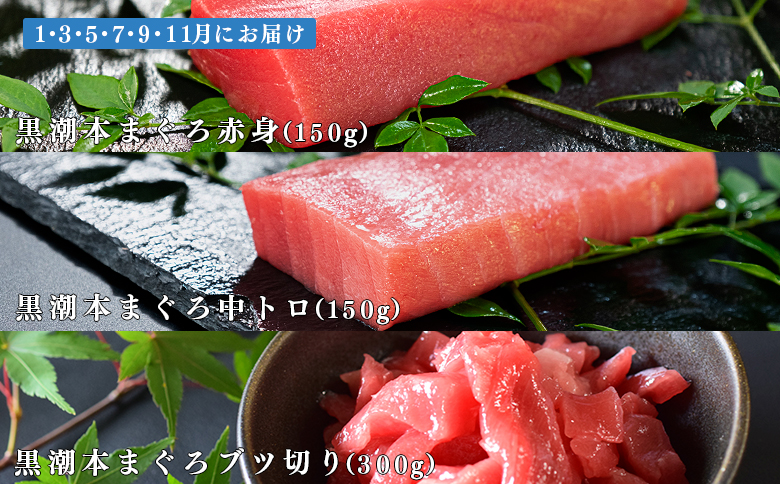 【定期便6回】日本一!黒潮本まぐろ 中トロ・赤身・ブツ切り 3種セット