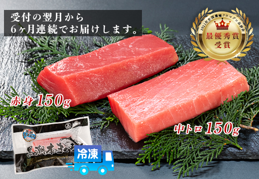 まぐろ マグロ 本鮪 黒潮本まぐろ 中トロ 赤身 定期便 6回 計300g × 6回 刺身 さしみ 最優秀賞 全国養殖クロマグロ品評会 受賞 魚 魚介類 海鮮 柵 サク 冷凍 お取り寄せ 産地直送 ギフト 贈答  高知県 大月町