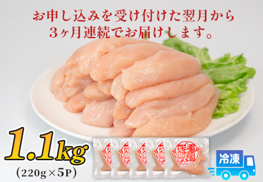 鶏肉 ささみ 1.1kg 定期便 3回 （1.1kg×3回） 鶏ささみ ササミ チキン 若鶏 ブランド鶏 最優秀賞 天皇杯 受賞 小分け 冷凍 骨なし お弁当 ササミフライ 梅しそ 筋トレ 高たんぱく 3.3kg 大容量 よさこい尾鶏 高知県 大月町
