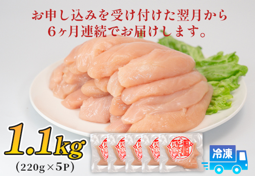 鶏肉 ささみ 1.1kg 定期便 6回 （1.1kg×6回） 鶏ささみ ササミ チキン 若鶏 ブランド鶏 最優秀賞 天皇杯 受賞 小分け 冷凍 骨なし お弁当 ササミフライ 梅しそ 筋トレ 高たんぱく 6.6kg 大容量 よさこい尾鶏 高知県 大月町