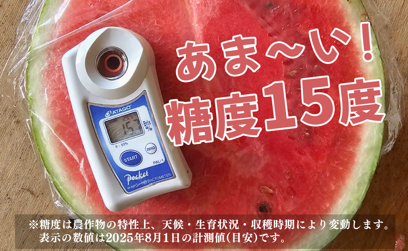 抜群の甘さ！ スイカ 1玉 大玉 (6kg以上) 甘い 高糖度 西瓜 すいか 種なし 縞スイカ 黒玉 ギフト お中元 御中元 産地直送 旬 果物 フルーツ 取り寄せ ねばねばファーム 高知県 大月町産