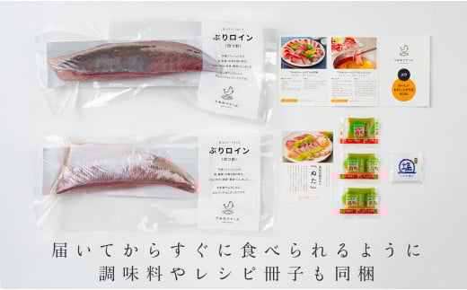 養殖ぶり 2柵セット｜養殖ぶり ロイン サク うみのファーム ぶり 鰤 ブリ 新鮮 真空 魚介 刺身 ぶりしゃぶ カルパッチョ 丼 寿司 国産 贈答 ギフトお歳暮 配達日指定可 産地直送 冷蔵配送 おすすめ 人気 高知県 大月町産