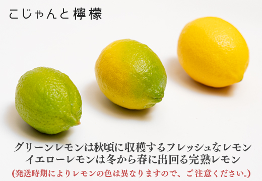 こじゃんとレモン 4kg｜国産 高知県 大月町 レモン 檸檬 レモン水 フルーツ グリーンレモン イエローレモン 果実 柑橘 新鮮 ビタミンC 採れたて フレッシュ 季節の果物 産地直送 美容 健康 安心安全 国産レモン ギフト おすすめ