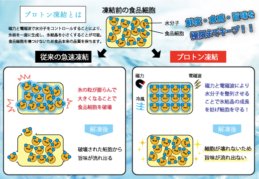 【訳アリ】養殖本マグロ 赤身 中トロセット 450g 黒潮本まぐろ｜不定貫 不揃い 2種 刺身用 家庭用 養殖まぐろ 最優秀賞受賞 日本一 配達日指定可 本まぐろ まぐろ 鮪 訳あり ワケあり 小分け 丼 寿司 海鮮 魚 柵 産地直送 高知県 大月町