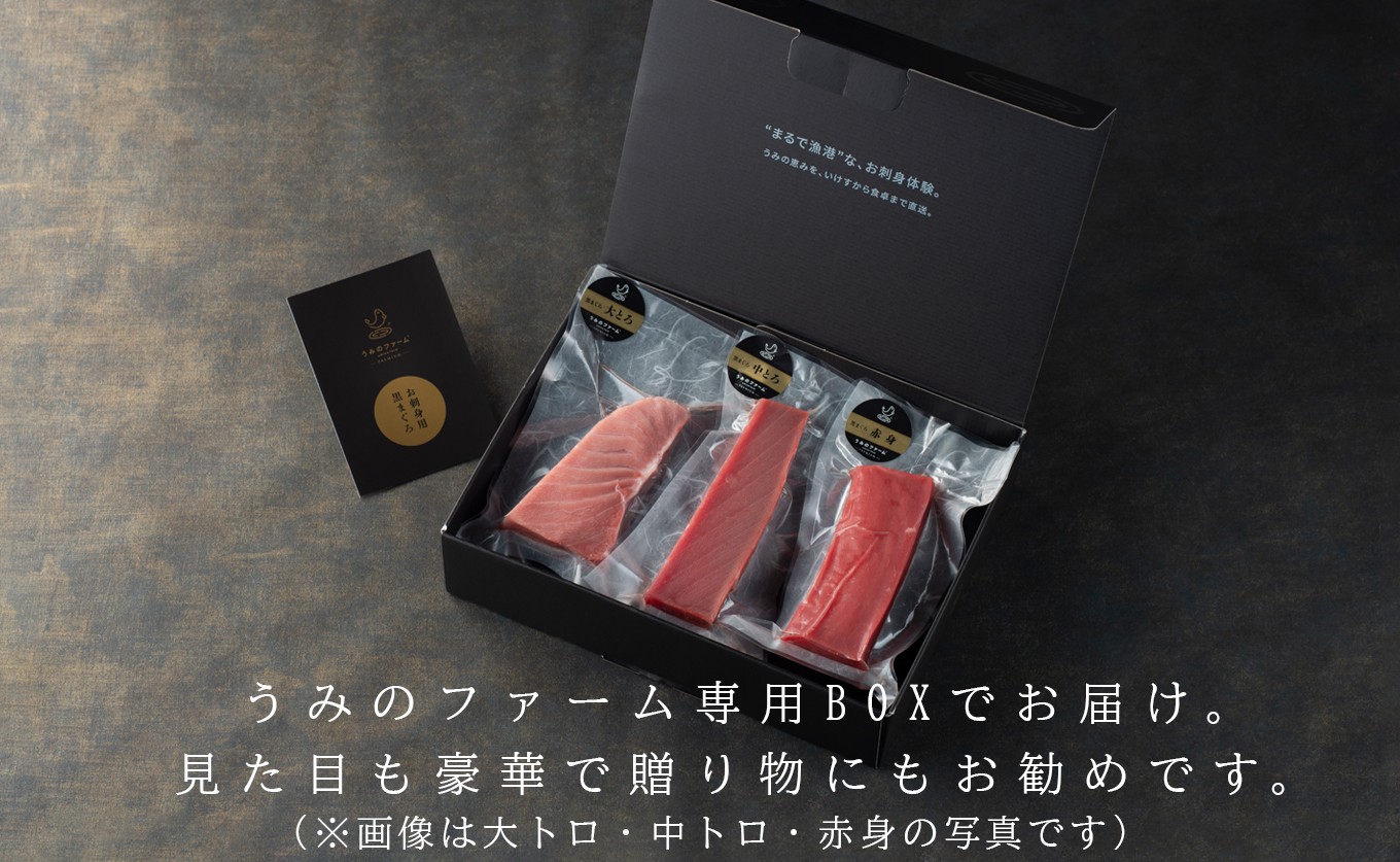 国産 養殖本マグロ 2種盛 中トロ 赤身 400g｜刺身用 冷凍 まぐろ 鮪 柵 家庭用 夫婦 晩酌 ギフト 御歳暮 御中元 内祝い 海鮮丼 寿司 手巻き 急速冷凍 解凍簡単 贈答 お祝い 年末年始 産地直送 配達日指定可 うみのファーム 高知県