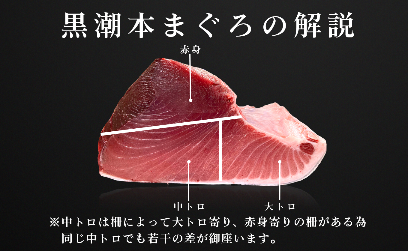 【高知県産 養殖本マグロ】大トロ・中トロ・赤身750g 3種 黒潮本まぐろ｜刺身用 最優秀賞受賞 日本一 本まぐろ まぐろ 鮪 トロ 小分け 丼 寿司 手巻き 急速冷凍 解凍簡単 贈答 ギフト お祝い 年末年始 産地直送 高知県 大月町