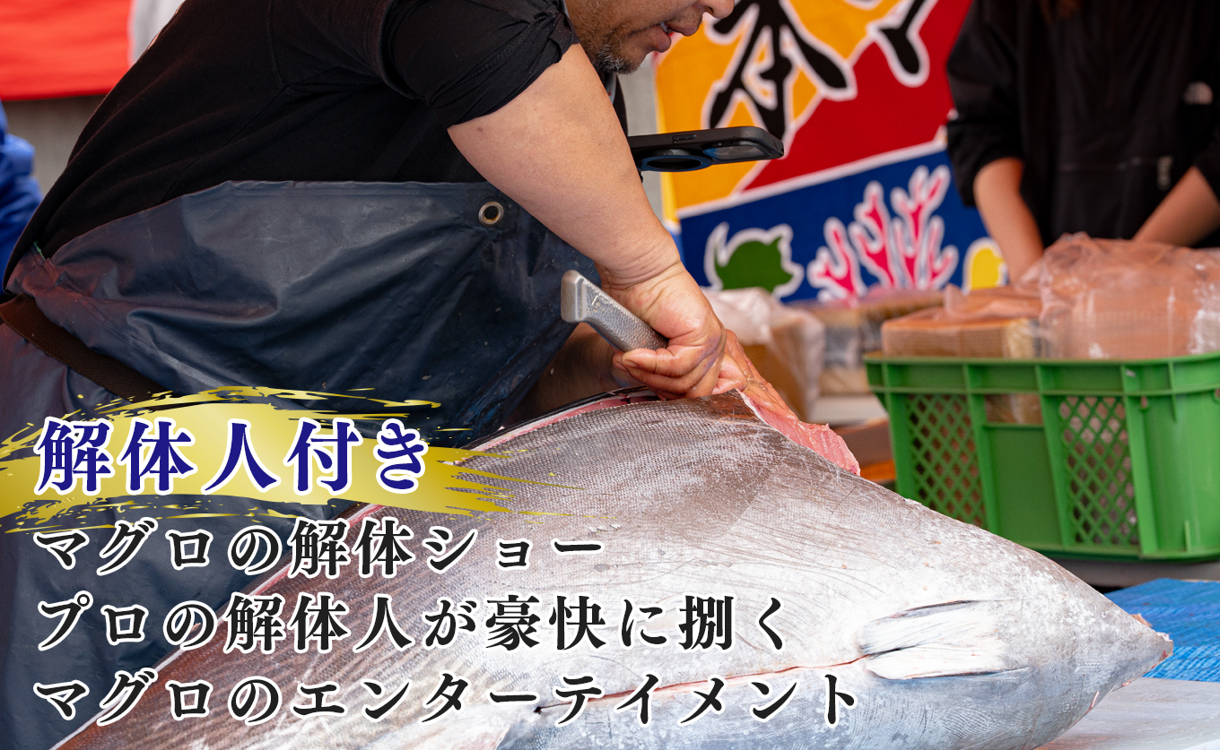 特大 国産 養殖 本マグロ 解体人付き 50kg以上 一本丸ごと 刺身 300人前 まぐろ 出張対応｜本まぐろ クロマグロ   鮪 まぐろ 生まぐろ 丸ごと1本 寿司 1000貫 パーティー 業務用 イベント 解体ショー 限定数量 高知県 大月町産