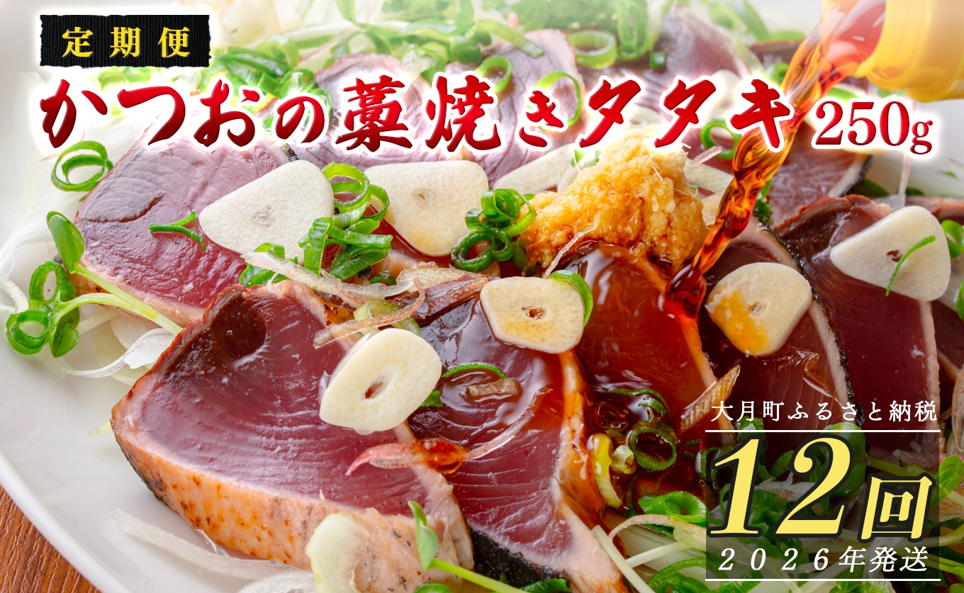 【定期便12回】本場 高知 かつおの藁焼きたたき 250g以上 小分け 真空 パック｜新鮮 かつお カツオ 鰹 カツオのたたき かつおたたき 鰹のたたき かつおタタキ 個包装 冷凍 家飲み ごちそう ギフト 贈答 海鮮 魚介 ランキング 産地直送