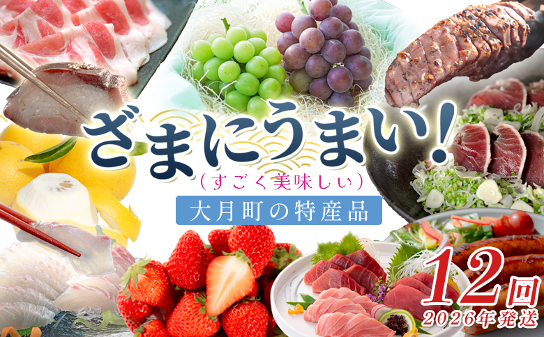 【定期便 12回】ざまにうまい！大月町 特産品セット｜いちご 真鯛 鶏もも肉 むね肉 かつおの藁焼きたたき 力豚 豚ロース 豚こま 小夏 厚切り豚タン ぶどう みかん 養殖 本マグロ 旬 産地直送 野菜 果物 人気 ご当地 グルメ お取り寄せ