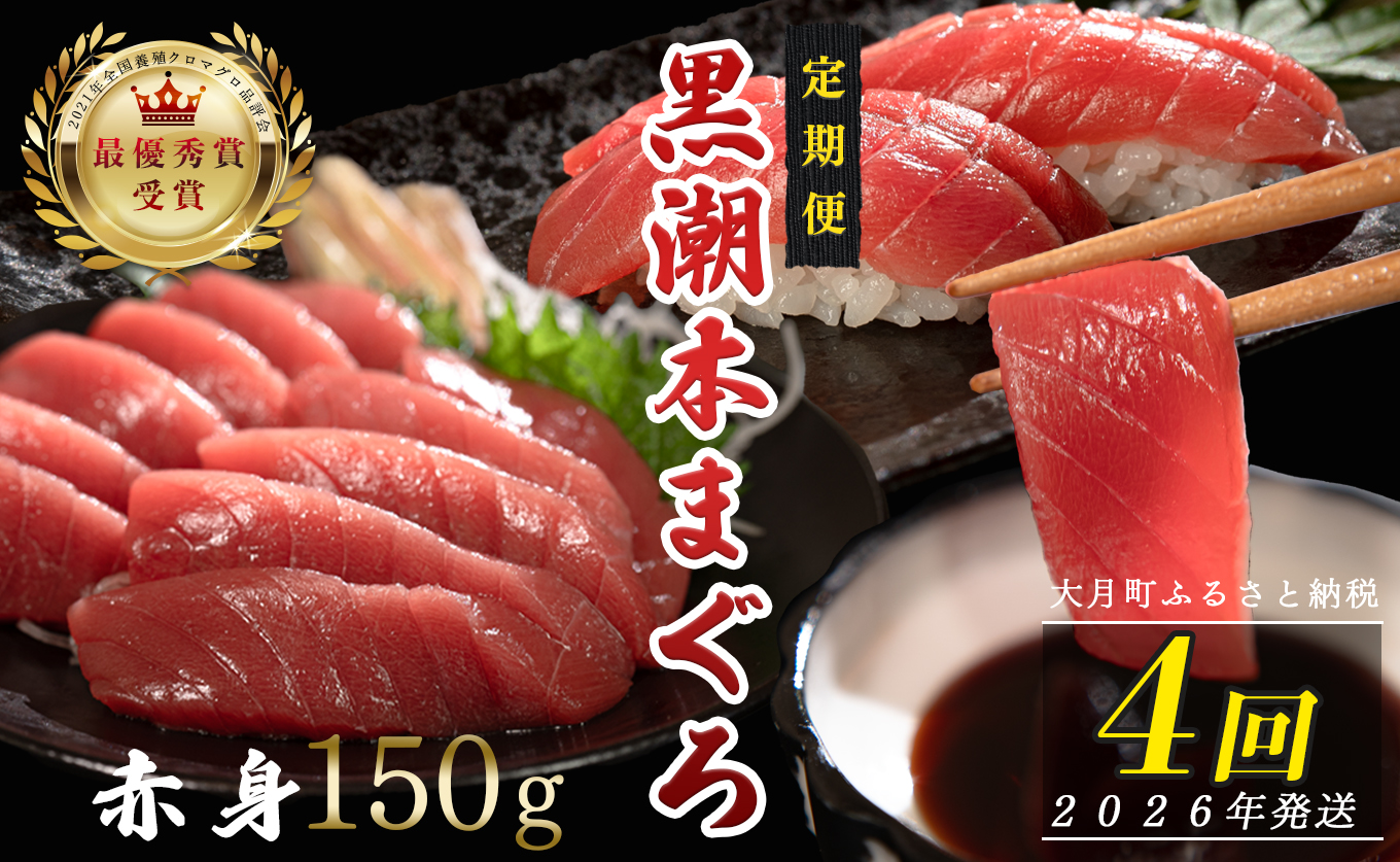 【定期便4回】日本一!黒潮本まぐろ 赤身
