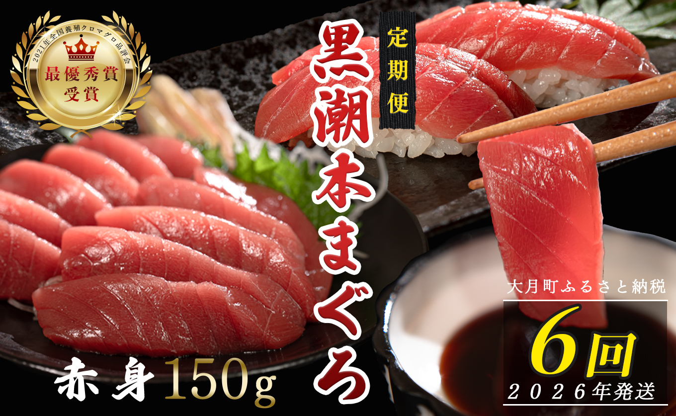 【定期便6回】日本一!黒潮本まぐろ 赤身