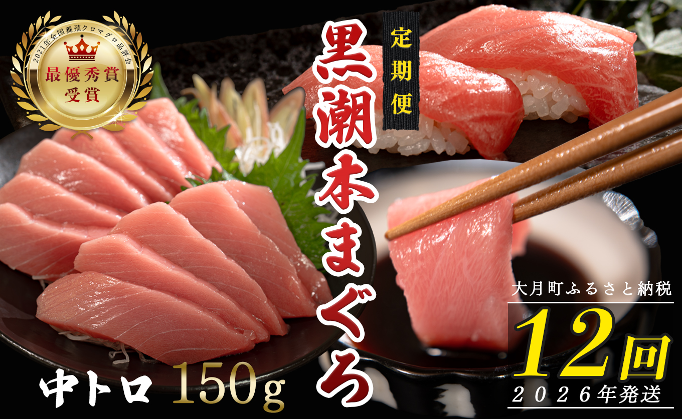 【定期便12回】日本一!黒潮本まぐろ 中トロ