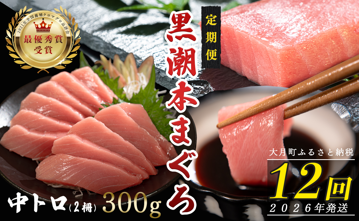 【定期便12回】日本一!黒潮本まぐろ 中トロ2柵