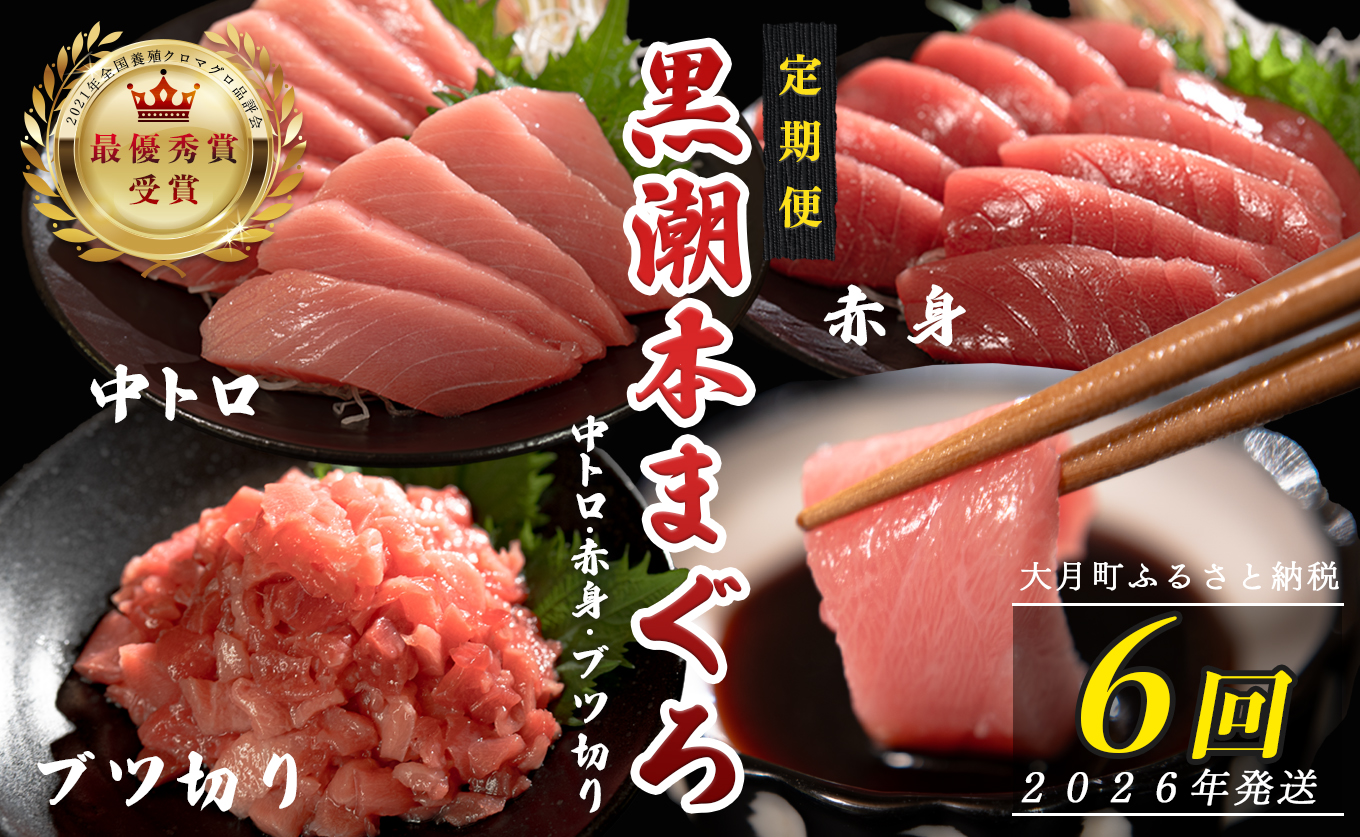 【定期便6回】日本一!黒潮本まぐろ 中トロ・赤身・ブツ切り 3種セット