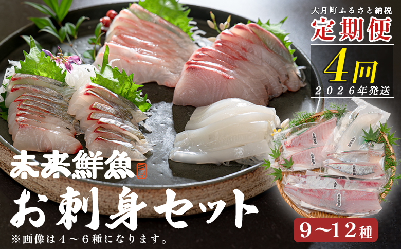【定期便4回】旬のお刺身用柵セット 9～12種 刺身 高知県産｜盛り合わせ 食べ比べ 鮮度抜群 産地直送 海の幸 海鮮 魚介 新鮮 おつまみ 酒 海鮮丼 寿司 厳選 ギフト おすすめ 人気  お歳暮 お取り寄せ グルメ 母の日 贈り物 おうち居酒屋