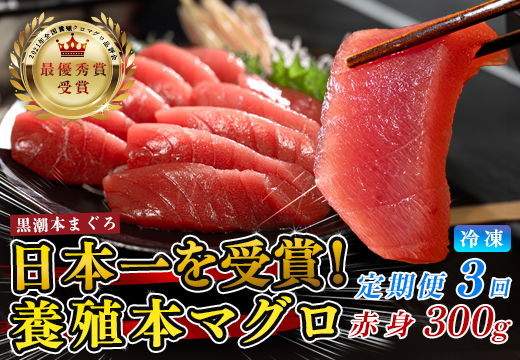 まぐろ マグロ 本鮪 黒潮本まぐろ 赤身 定期便 3回 300g × 3回 刺身 さしみ 最優秀賞 全国養殖クロマグロ品評会 受賞 魚 魚介類 海鮮 柵 サク 冷凍 お取り寄せ 産地直送 ギフト 贈答  高知県 大月町