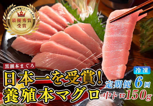 まぐろ マグロ 本鮪 黒潮本まぐろ 中トロ 定期便 6回 150g × 6回 刺身 さしみ 最優秀賞 全国養殖クロマグロ品評会 受賞 魚 魚介類 海鮮 柵 サク 冷凍 お取り寄せ 産地直送 ギフト 贈答  高知県 大月町
