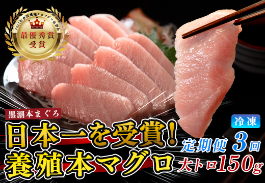 まぐろ マグロ 本鮪 黒潮本まぐろ 大トロ 定期便 3回 150g × 3回 刺身 さしみ 最優秀賞 全国養殖クロマグロ品評会 受賞 魚 魚介類 海鮮 柵 サク 冷凍 お取り寄せ 産地直送 ギフト 贈答  高知県 大月町