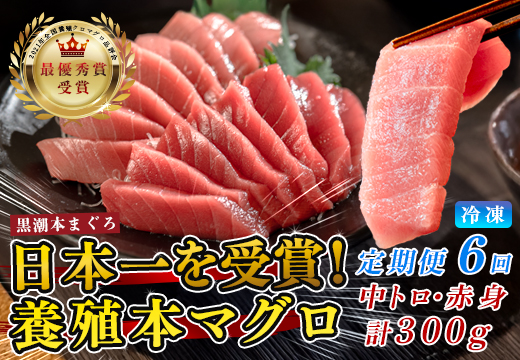 まぐろ マグロ 本鮪 黒潮本まぐろ 中トロ 赤身 定期便 6回 計300g × 6回 刺身 さしみ 最優秀賞 全国養殖クロマグロ品評会 受賞 魚 魚介類 海鮮 柵 サク 冷凍 お取り寄せ 産地直送 ギフト 贈答  高知県 大月町