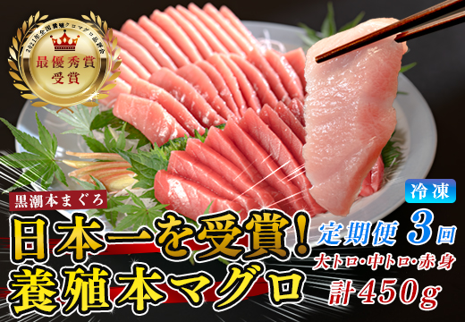 まぐろ マグロ 本鮪 黒潮本まぐろ 大トロ 中トロ 赤身 定期便 3回 計450g × 3回 刺身 さしみ 最優秀賞 全国養殖クロマグロ品評会 受賞 魚 魚介類 海鮮 柵 サク 冷凍 お取り寄せ 産地直送 ギフト 贈答  高知県 大月町