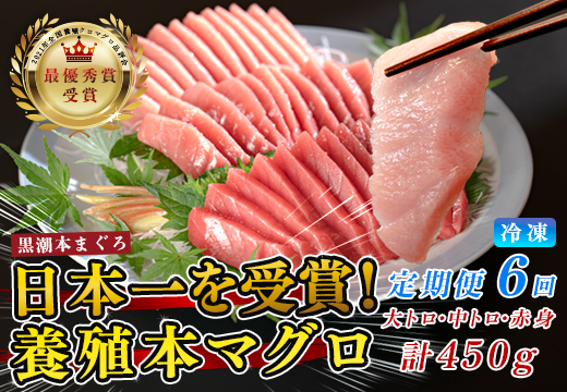 まぐろ マグロ 本鮪 黒潮本まぐろ 大トロ 中トロ 赤身 定期便 6回 計450g × 6回 刺身 さしみ 最優秀賞 全国養殖クロマグロ品評会 受賞 魚 魚介類 海鮮 柵 サク 冷凍 お取り寄せ 産地直送 ギフト 贈答  高知県 大月町