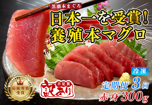 訳あり まぐろ マグロ 本鮪 黒潮本まぐろ 赤身 定期便 3回 300g × 3回 刺身 さしみ 最優秀賞 全国養殖クロマグロ品評会 受賞 魚 魚介類 海鮮 柵 サク 冷凍 お取り寄せ 産地直送 ギフト 贈答  高知県 大月町