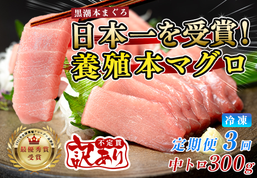 訳あり まぐろ マグロ 本鮪 黒潮本まぐろ 中トロ 定期便 3回 300g × 3回 刺身 さしみ 最優秀賞 全国養殖クロマグロ品評会 受賞 魚 魚介類 海鮮 柵 サク 冷凍 お取り寄せ 産地直送 ギフト 贈答  高知県 大月町