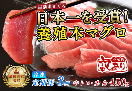 訳あり まぐろ マグロ 本鮪 黒潮本まぐろ 赤身 中トロ 定期便 3回 計450g × 3回 刺身 さしみ 最優秀賞 全国養殖クロマグロ品評会 受賞 魚 魚介類 海鮮 柵 サク 冷凍 お取り寄せ 産地直送 ギフト 贈答  高知県 大月町
