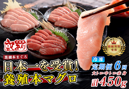 訳あり まぐろ マグロ 本鮪 黒潮本まぐろ 赤身 中トロ 大トロ 定期便 6回 計450g × 6回 刺身 さしみ 最優秀賞 全国養殖クロマグロ品評会 受賞 魚 魚介類 海鮮 柵 サク 冷凍 お取り寄せ 産地直送 ギフト 贈答  高知県 大月町