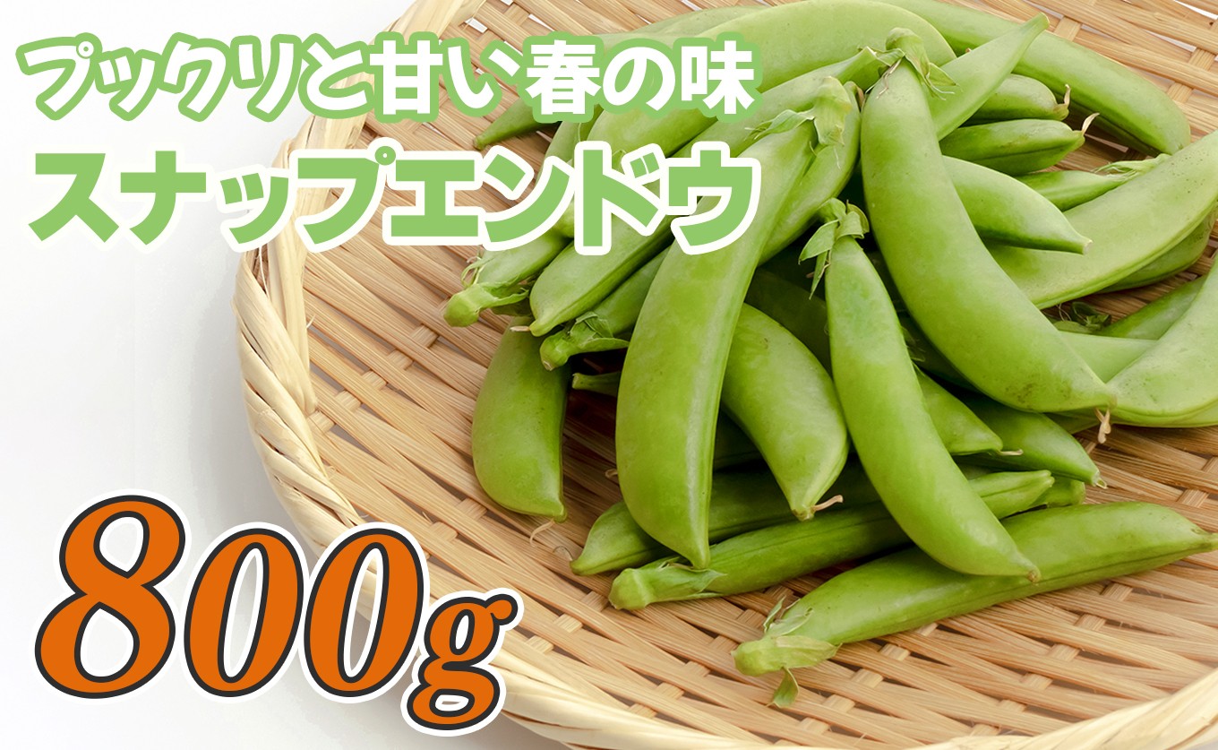 スナップエンドウ 800g 豆 えんどう｜スナップえんどう 産地直送 新鮮野菜 旬の春野菜 採れたて 厳選 甘い ハウス サラダ 天ぷら お弁当 彩り みずみずしい フレッシュ 季節 農家応援 生産者応援 家庭用 おいしい 旬 健康 高知県 大月町