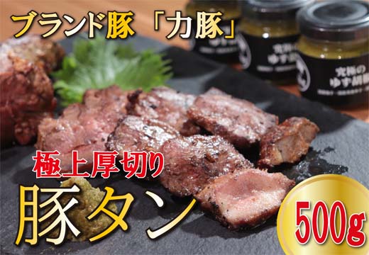 国産 豚肉 豚タン 500g ブランド豚 力豚 厚切りスリット入り｜りきぶた タン 柔らかい 焼肉 焼肉用 BBQ バーベキュー ご当地グルメ 真空パック 冷凍 おつまみ 晩酌 ホルモン お取り寄せ グルメ ギフト 贈答用 高知県 大月町産
