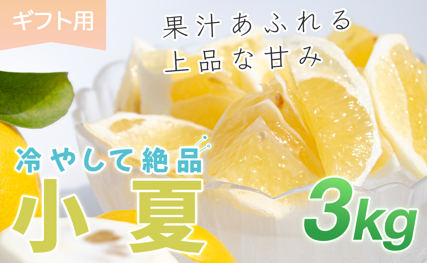 小夏 3kg 贈答 ギフト用  日向夏 ニューサマーオレンジ 柑橘 みかん ノーワックス こなつ くだもの 果物 産直 旬の果物 お取り寄せ 産地直送 フルーツ 爽やか スッキリ 甘い 高知県 大月町産 コーラルフルーツ農場