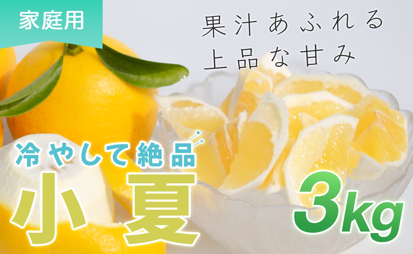 小夏 3kg 家庭用 日向夏 ニューサマーオレンジ 柑橘 みかん ノーワックス こなつ くだもの 果物 産直 旬の果物 お取り寄せ 産地直送 フルーツ 爽やか スッキリ 甘い 高知県 大月町産 コーラルフルーツ農場