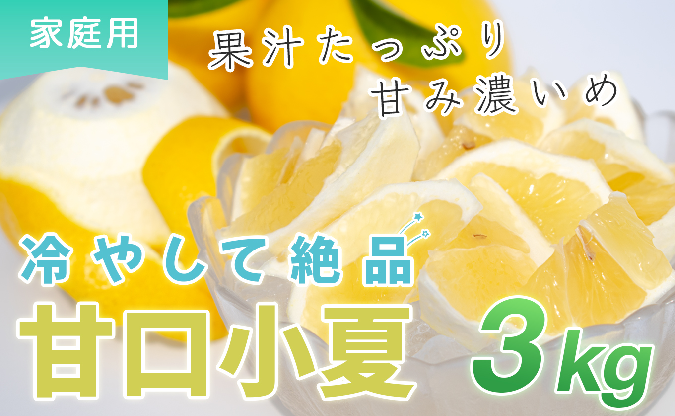 甘口 小夏 3kg 家庭用 日向夏 ニューサマーオレンジ 柑橘 みかん ノーワックス こなつ くだもの 果物 産直 旬の果物 お取り寄せ 産地直送 フルーツ 爽やか スッキリ 甘い 高知県 大月町産 コーラルフルーツ農場