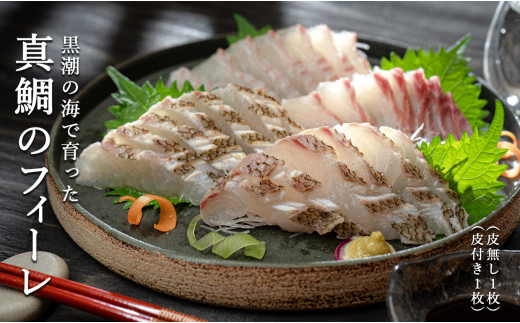 真鯛 フィーレ皮なし＆皮つき 計500～740g｜たい フィレ 半身 3枚おろし 食べ比べ 産地直送 冷蔵 真空パック 即日発送 配達日指定可 活〆 刺身 湯引き 海鮮丼 鯛めし 鯛茶漬け アクアパッツァ はやぶさ水産 高知県 大月町産