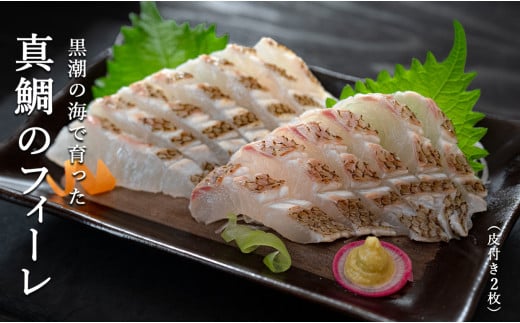 真鯛 フィーレ 皮つき 計500～740g｜即日発送 配達日指定可 柏島 たい 鯛 フィレ 半身3枚おろし 産地直送 冷蔵 真空パック 活〆 皮目 香ばしい 海鮮丼 鯛めし 塩焼き 湯引き 炙り はやぶさ水産 高知県 大月町産