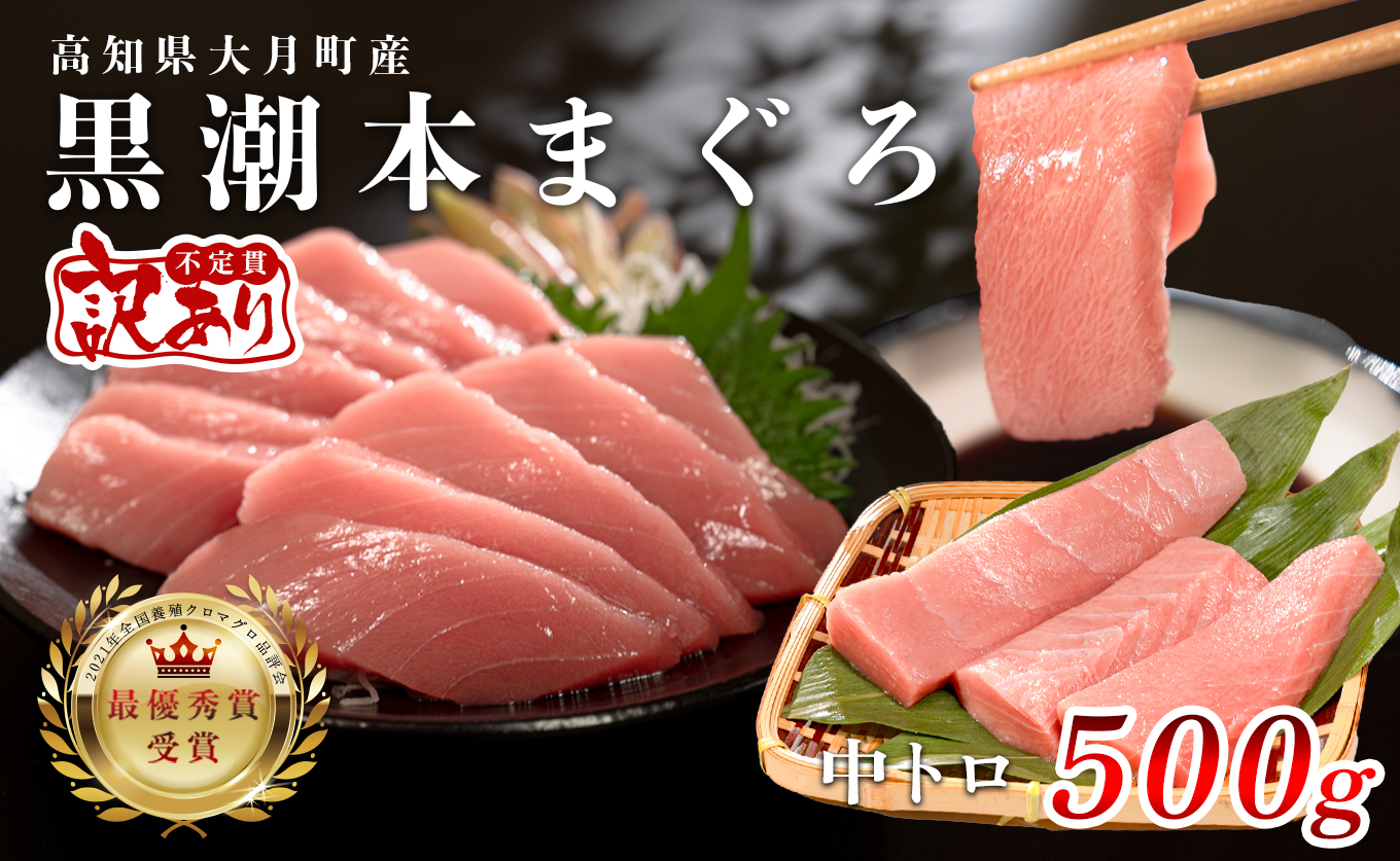 【訳アリ】養殖本マグロ 中トロ 500g 黒潮本まぐろ｜不定貫 不揃い 刺身用 家庭用 最優秀賞受賞 日本一 配達日指定可 指定日配送可 本まぐろ まぐろ 鮪 小分け 個包装 丼 寿司 柵 急速冷凍 解凍簡単 産地直送 高知県 大月町